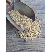 Roasted Soybeans, Non-GMO, 46lbs