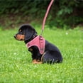 thumbnail image 1 of FENGGUIQU Con Correa Para Mascotas Reflectante Rosa Ideal Para Entrenamiento Y, 1 of 6