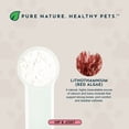 thumbnail image 4 of Animal Essentials Natural Seaweed Calcium for Dogs & Cats 12 oz, 4 of 9