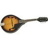 Rogue FM-80 Acoustic Mandolin
