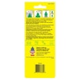 thumbnail image 2 of LITTLE TREES air freshener Sliced 3-Pack, 2 of 8