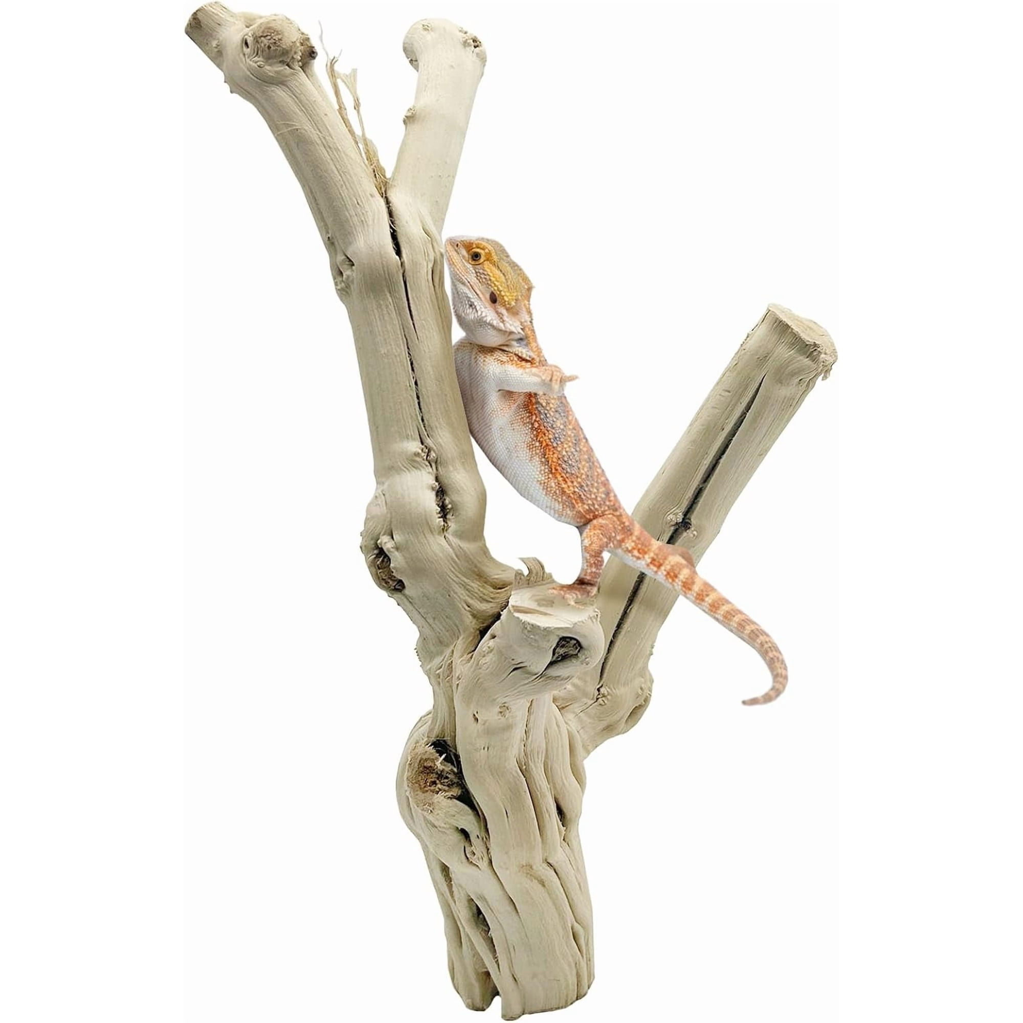 Reptile Branches for Climbing Natural Snake Climb Branch Extra Large Wood Forest Tree Trunk Decor Lizard Habitat Terrarium Decorations for Bearded Dragon Geckos Chameleon Frog