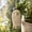 C, variant on Handmade Whimsical Wind Chime Ornaments