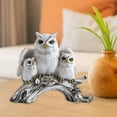 thumbnail image 4 of kowaku Owl Figurines Owl Statue Tabletop Ornament Statue Owl Sculpture for Living Room Office Cabinet Decor NightStand White, 4 of 7