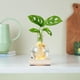 thumbnail image 4 of Jarrón, florero hidropónico LED, terrario hidropónico de escritorio para plantas, maceta redonda de vidrio con base de madera iluminada e impermeable., 4 of 8