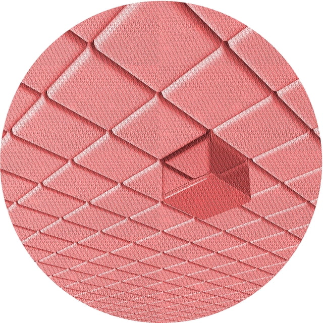 Ahgly Company Tapis Rond Lavable en Machine Intérieur Transitionnel Rose Corail Clair, 4 Pieds Rond
