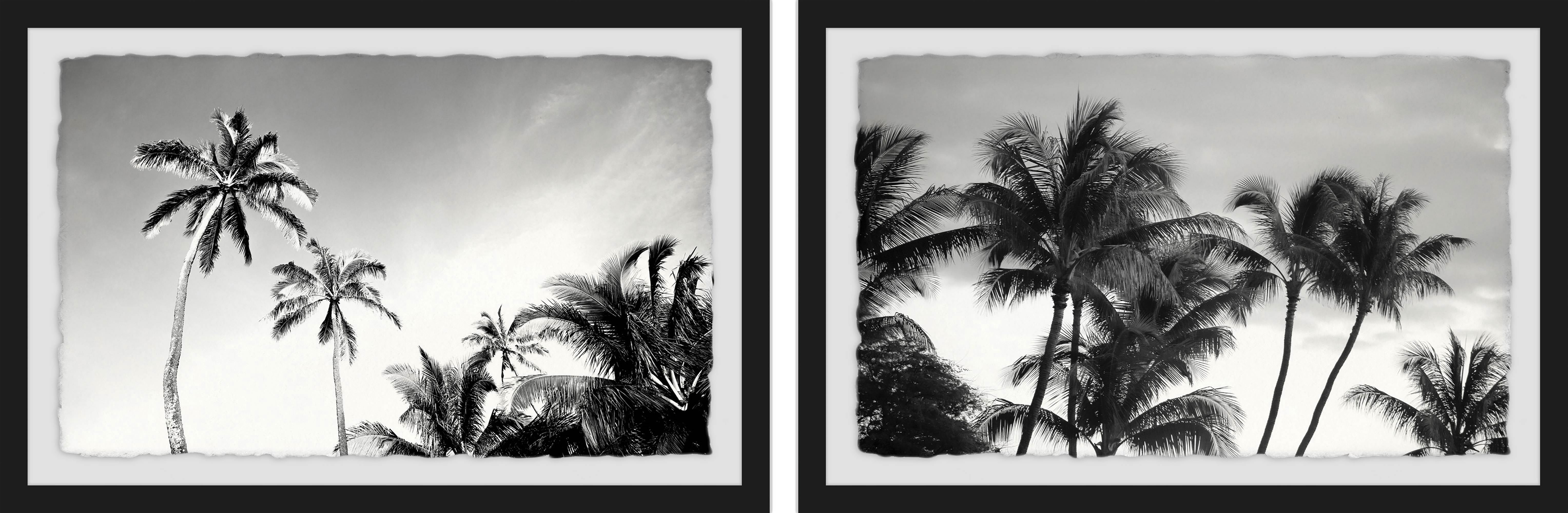 Palm Views Diptych