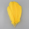 thumbnail image 1 of Zucker Feather Products Turkey Quills Selected - Left Wing - 10-12" - Gold, 1 of 2