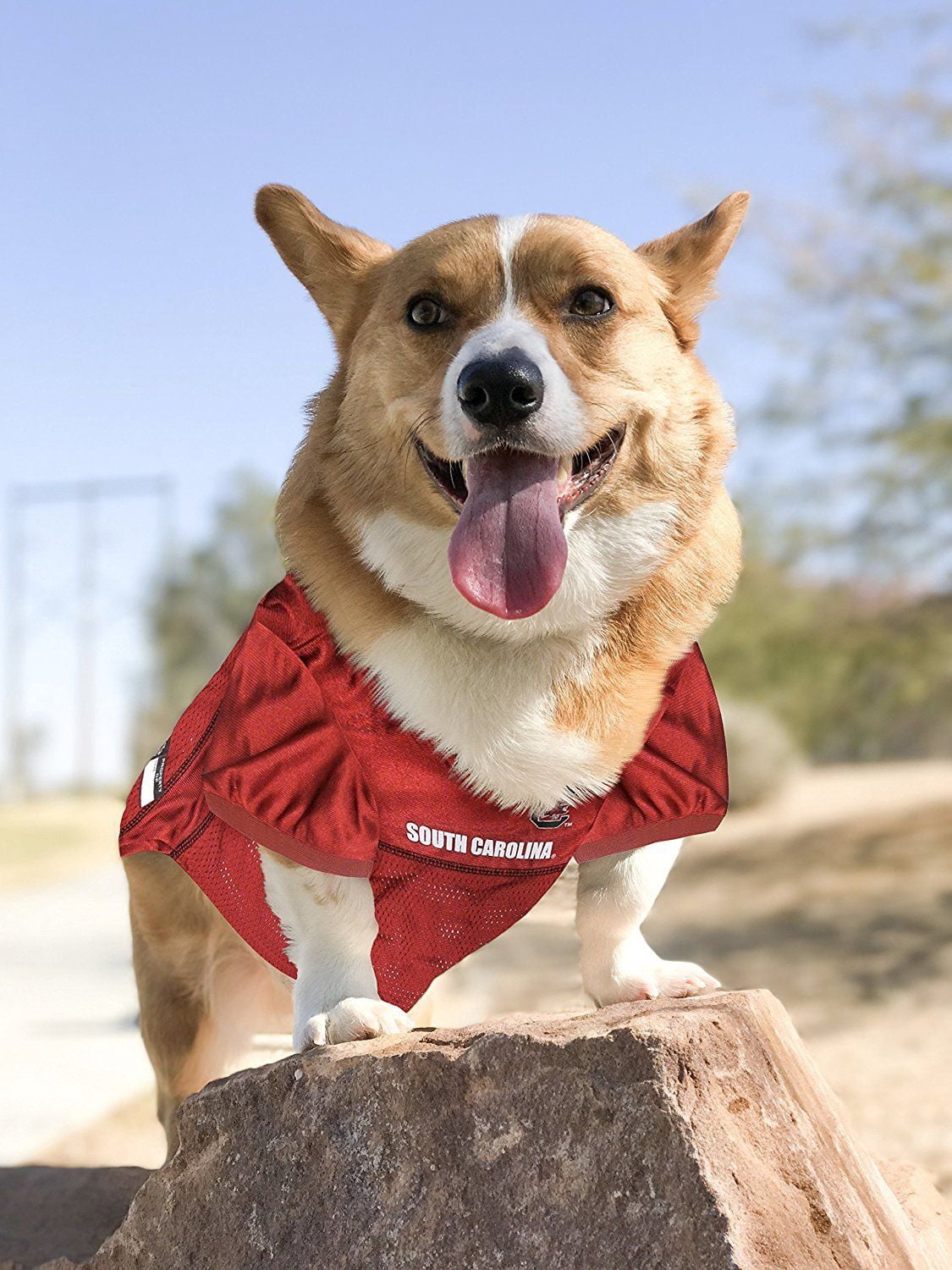 Pets First Collegiate South Carolina Gamecocks Football/Basketball Mesh Jersey for Pet Dog. available in 40+ Teams - Medium