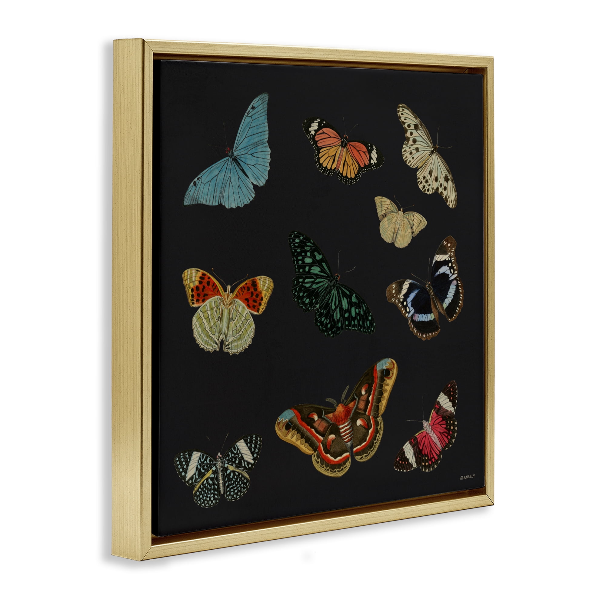 Stupell Industries Insects Group on Black Gold Framed Floater Canvas Wall Art, design by Dan Meneely