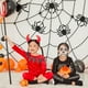 thumbnail image 4 of Pequeña araña de peluche de Halloween, juguete de peluche de araña realista, decoración aterradora para fiesta de Halloween, accesorio de Casa Encantada, decoración de patio interior y exterior, 4 of 6