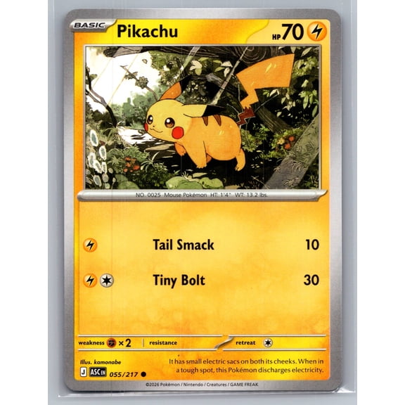 Collectible 2026 Mega Evolution Ascended Heroes Pikachu 55/217 English Pokémon Trading Card