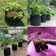 thumbnail image 7 of 10-Pack 3 Gallon Grow Bags, Heavy Duty Thickened Fabric Grow Bags, Nonwoven Fabric Pots with Handles, 7 of 7