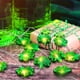 thumbnail image 4 of Decoraciones para el Día de San Patricio, Accesorios para el Día de San Patricio, Regalos para el Día de San Patricio: Guirnalda de luces LED verdes de 69 pulgadas y 10 pulgadas. Guirnalda de luces ve, 4 of 6