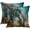 Black and Brown, variant on Emvency Set of 2 Abstract Throw Pillow Covers Vintage Teal White and Blue Messy Rust Painting Decorative Pillow Cases Home Decor Standard Square 16x16 Inches Pillowcases