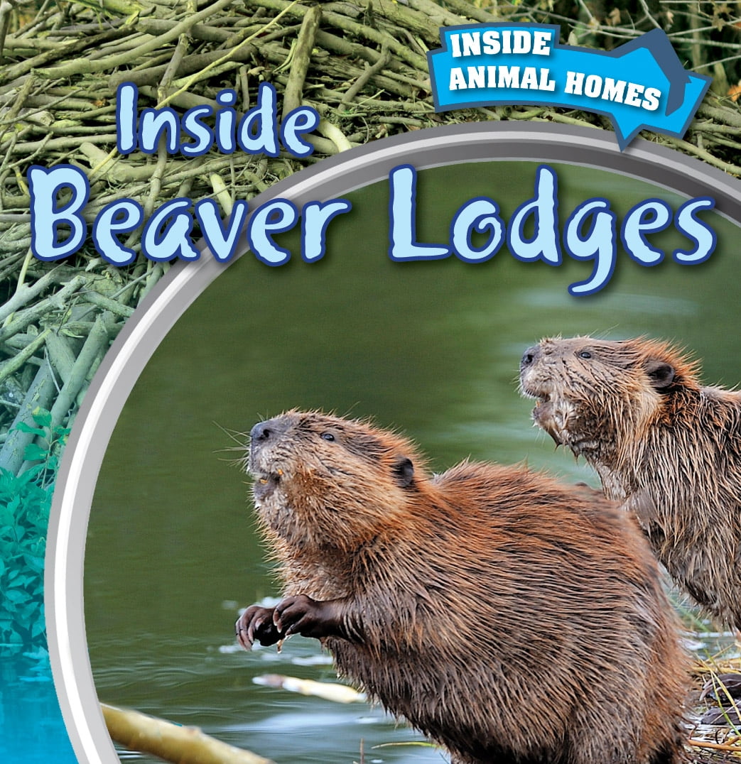 Animals inside. Beaver Lodge. Beavers' Lodge for Kids. Beaver Lodge picture. A beaver's Lodge picture for Kids.