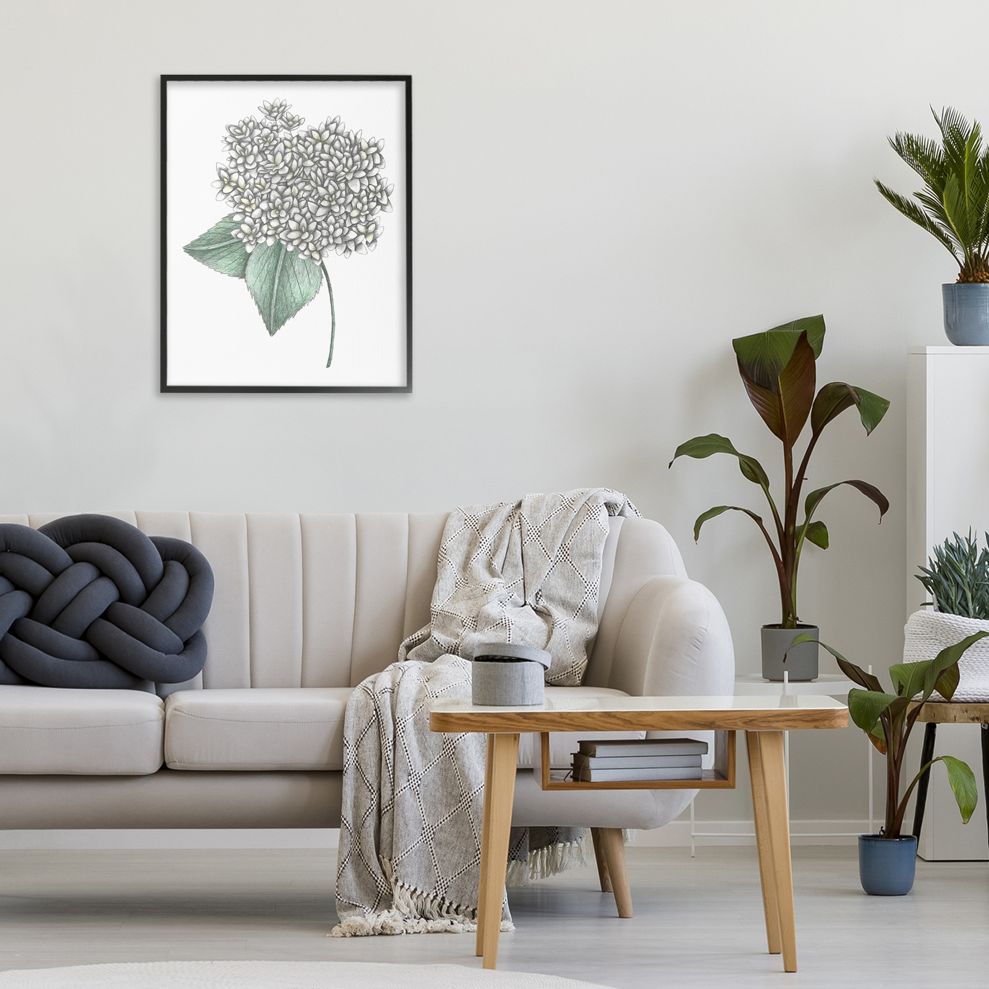 White Hydrangea Sketch Blossom Black Framed Giclee Art, design by Cecilia Battaini