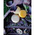 thumbnail image 4 of YANTONG Eco Bar Variety Pack (Shampoo, Conditioner and Body Wash), 4 of 5
