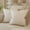Cream White, variant on Nmkwnr 2 Pack Velvet Super Soft Cushion Case with Zipper, Solid Color Decorative Square Throw Pillow Covers Set for Sofa Bedroom Car, 16 x 16 inch