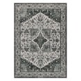 thumbnail image 2 of Geetinfly 8*10FT Area Rugs 1150Gsm 100% Polyester Rug 350Gsm Velvet Weight Pearl Velvet Washed Back Folding Simulation Printed Carpet Xm-Persia-Kuang Yi Liu Fang Gray green tone, 2 of 7
