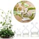 thumbnail image 1 of Paquete de 100 soportes para plantas trepadoras montados en la pared - 3 tamaños - Ganchos autoadhesivos - Fijación invisible - Clips de fijación para vegetales (100 clips blancos) Rojo Verde Cocina, Decoración y Otros, 1 of 5