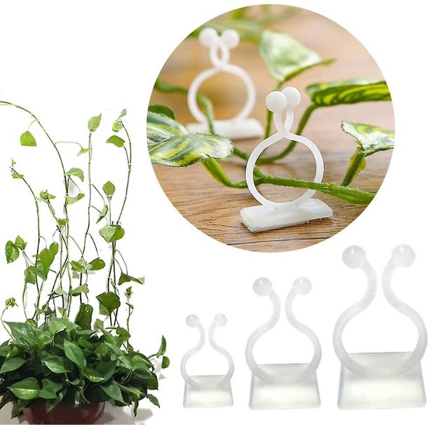 Paquete de 100 soportes para plantas trepadoras montados en la pared - 3 tamaños - Ganchos autoadhesivos - Fijación invisible - Clips de fijación para vegetales (100 clips blancos) Rojo Verde Cocina, Decoración y Otros