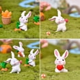 thumbnail image 5 of 6pcs Bunny Cake Topper Adornos Chic Rabbits Garden Figuri, 5 of 5