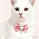 thumbnail image 1 of Collar collar de lazo de perlas para mascotas | Collar de perlas falsas ajustable para perros pequeños y medianos gatos | Diseño ligero y seguro, rosa azul, 25cm/30cm | Accesorio elegante para, 1 of 6