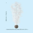 thumbnail image 4 of biOrb Medium White Sea Fan - Aquarium Plant Decoration, 4 of 10