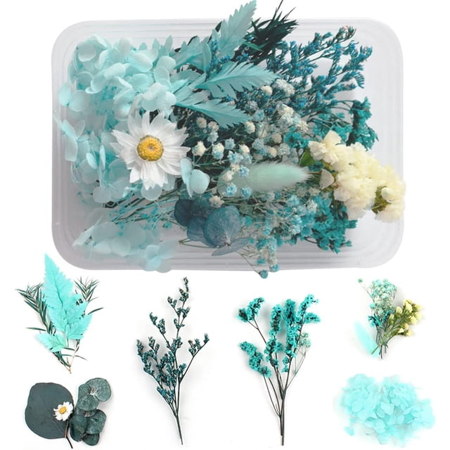 Flores secas naturales en relieve, flores preservadas, joyería de resina, vela artesanal, artesanía de uñas, decoración de flores para álbum de recortes
