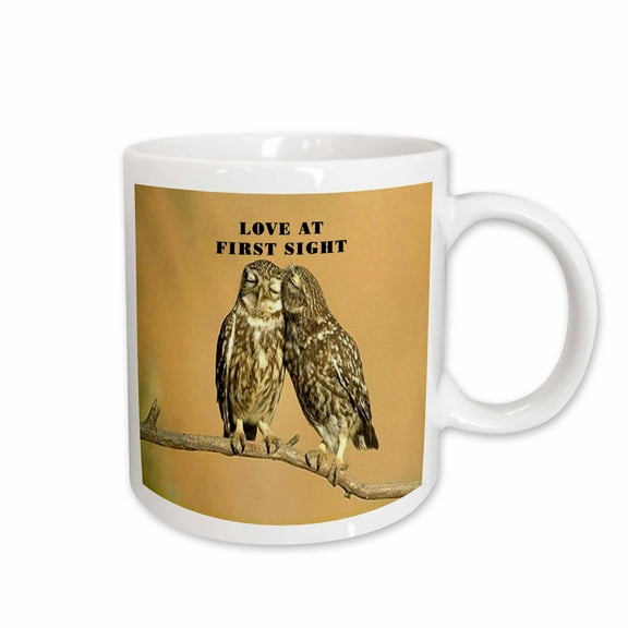 3drose, 2 Small Owls Say Love at First Sight.jpg, 15oz Mug