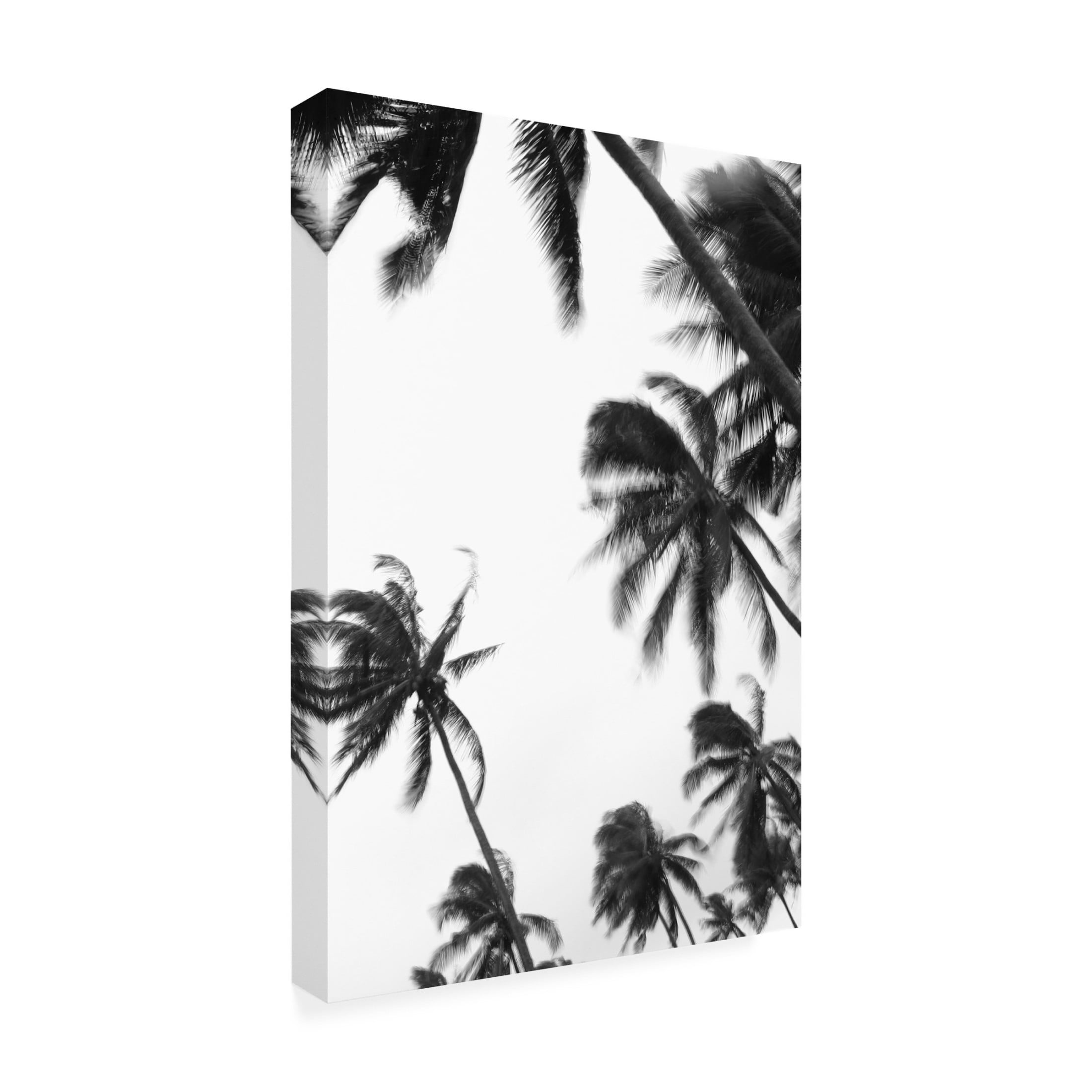 Trademark Fine Art Shot by Clint Coco Island No3 Canvas Wall Art