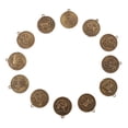 thumbnail image 1 of 2x12 Unids / Set Signos Del Zodiaco Chino Animales Moneda Colgante Feng Shui Amuleto Encantos SM SunniMix Moneda del zodiaco chino, 1 of 7