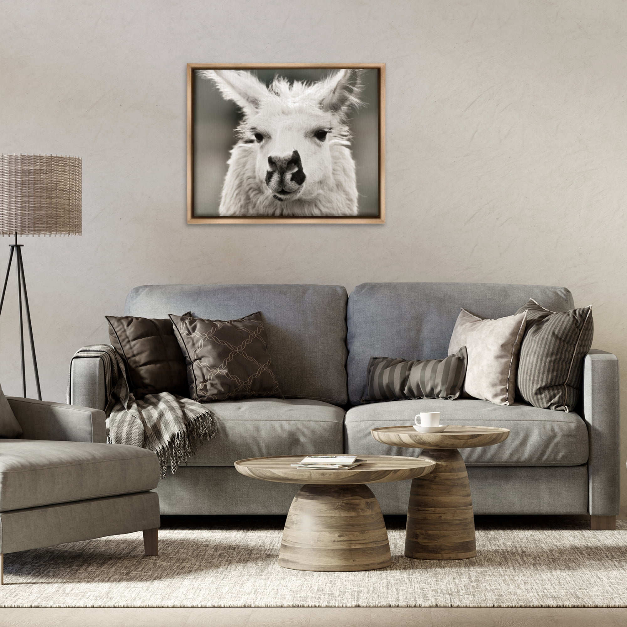 Stupell Industries Llama Gazing Portrait Animals & Insects Photography Brown Floater Framed Canvas Art Print Wall Art, 31 x 25
