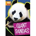 thumbnail image 1 of Giant Pandas (Wild Bears), 1 of 2