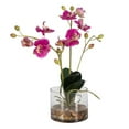thumbnail image 3 of Uttermost Glory Orchid Contemporary Glass/Plastic Plant in Clear/Pink, 3 of 4