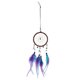 thumbnail image 1 of Adorno de Pared Gloria Colgante de Plumas Dreamcatcher, 1 of 8