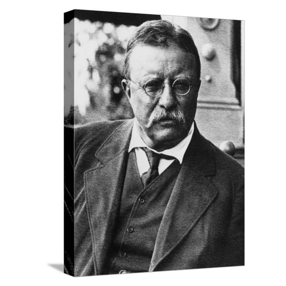 Art.com Theodore Roosevelt, 1900's Stretched Canvas Print Wall Art, 12" x 16"