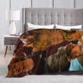 thumbnail image 5 of Blanket Rudy Actor Pankow Throw Flannel Blankets Warm Soft Cozy Fuzzy Air Conditioning Blanket for Living Room Sofa Bed Gift Blankets for All Seasons 40"x50", 5 of 6