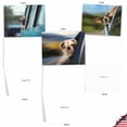 thumbnail image 4 of 10 Thank You Note Cards Pack (4 x 5.12 Inch) - DOGGIE IN THE WINDOW M6481TYG, 4 of 6