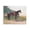 Saddled Horse Landscape, variant on Stupell Industries Equine On The Blue Night Canvas Wall Art, design by Svetlana Aleynikova