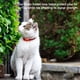 thumbnail image 3 of Funda De Silicona Suave Para Airtag Cat / Dog Tracker Gps Finder Funda Protectora Adorable Love &Amp; Bone Shape Pet Loop Holder Eigraketly PT001619-01, 3 of 6
