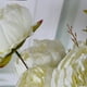 thumbnail image 5 of Ramo de flores de peonía artificial Oficina en casa Decoración floral falsa Boda Ramo de flores de seda, blanco Eigraketly HA7181-04B, 5 of 6