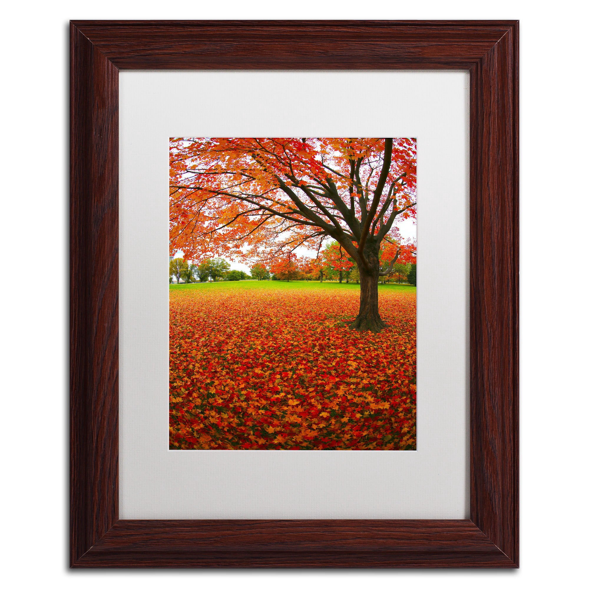 Trademark Fine Art "Autumn Expressions" Canvas Art by CATeyes, White Matte, Black Frame