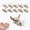 C, variant on Mini Halloween Figurines, Mini Skulls, Skeleton Toys, Summerween Creature Collection, Realistic Carved Bone Texture, Gothic Centerpiece Party Favors, 10-Piece Micro Craft Set