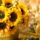 thumbnail image 2 of 7 Piezas de Girasoles Artificiales de un Solo Tallo Decoración Amarillo Bearachild, 2 of 6