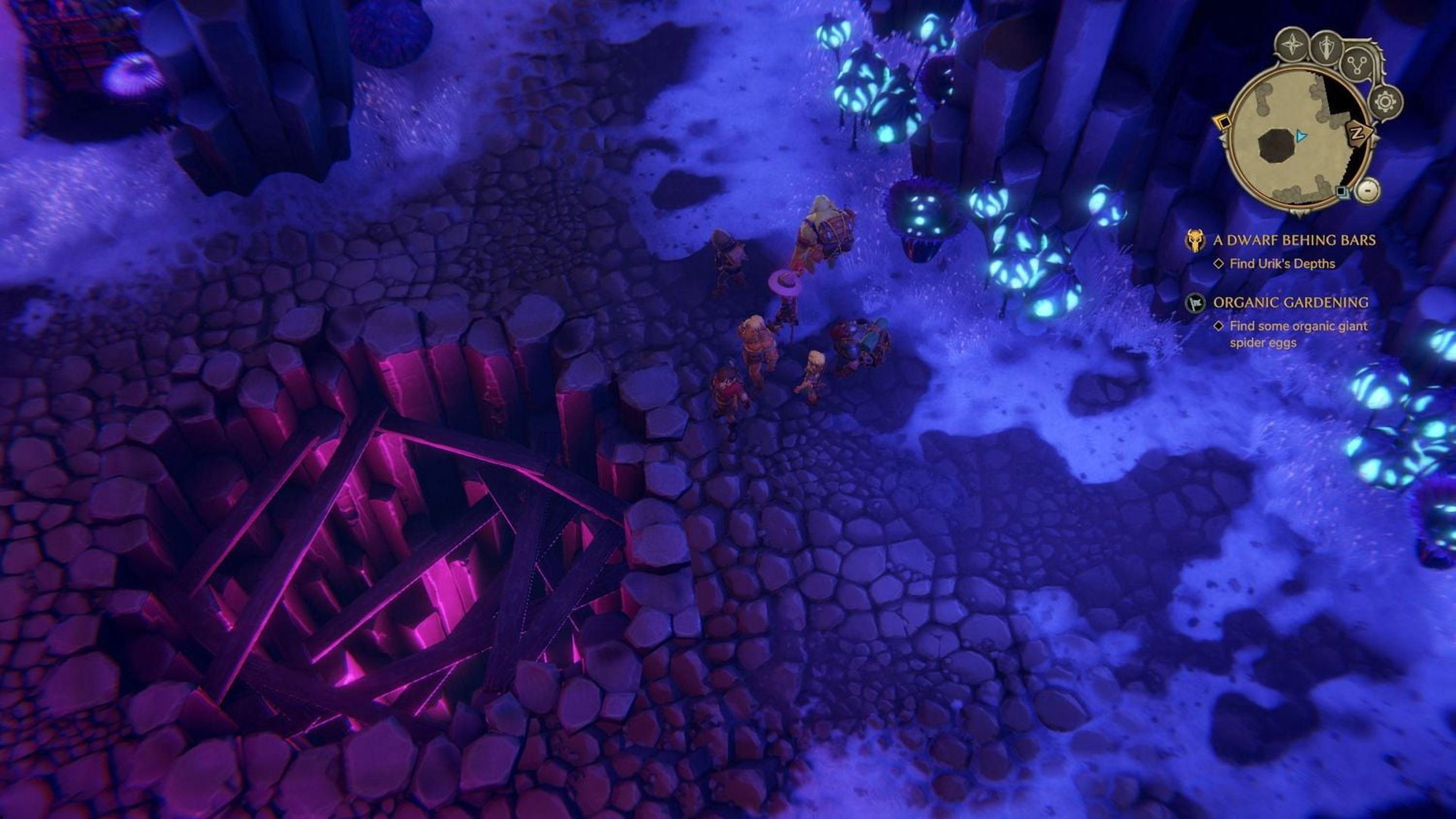 The Dungeon of Naheulbeuk: The Amulet of Chaos (PS4)