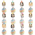 thumbnail image 5 of Guinea Pig Party Decorations 24Pcs Guinea Pig Cupcake Toppers Colorful Party Hat Guinea Pig Cupcake Picks Animal Theme Cake Decorations for Boys Girls Baby Shower Birthday Party Supplies, 5 of 5