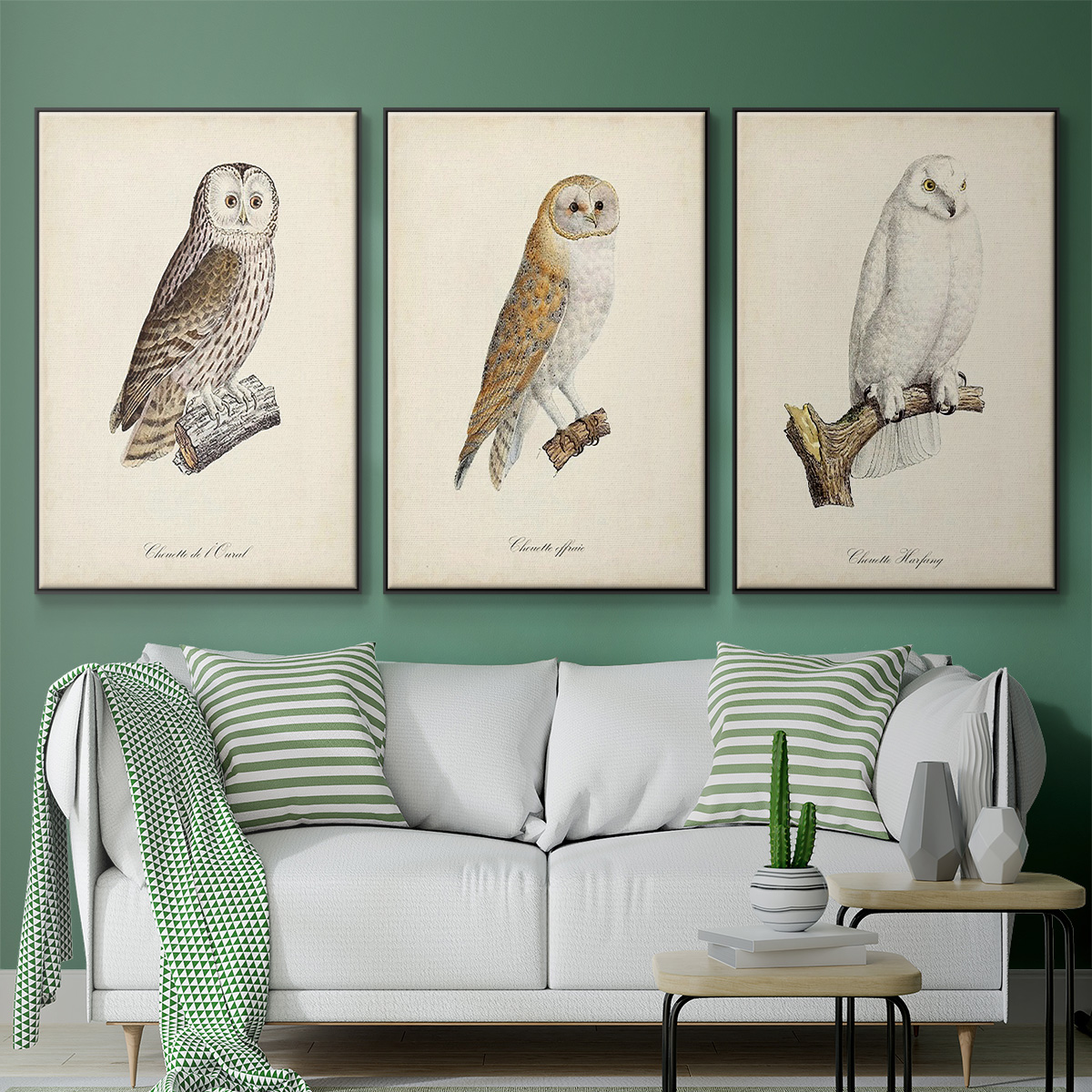 French Owls IV - Framed Premium Gallery Wrapped Canvas L Frame 3 Piece Set - Ready to Hang
