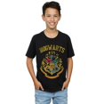 thumbnail image 2 of Harry Potter Boys Filled Crest Varsity T-Shirt, 2 of 3